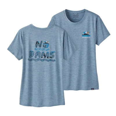 NO DAMS
